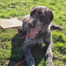 Eros Vallis Baptismi