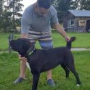 NOCH IŻ DOMA LOTSMAN