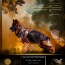 Arcas Vom Rockin Haus