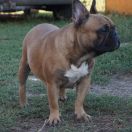 DORIS Leśne Najmadiu