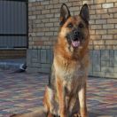 List aus Garten Yusticiya