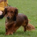 Secret Garden Slim Extreme