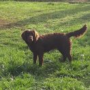 LUKA z Nowego Folwarku