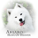 Aklaro HOPE OF HEAVEN