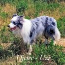 Unique Soul Mystique Regni