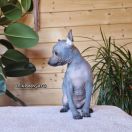 LEIA Potencjał (FCI)