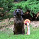 ABI z Wierzchowskich Gór Smolnych 