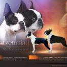 Get To The Point AMAZING RA SHINES