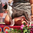 UGOLINO BEAUTY GREMLINS