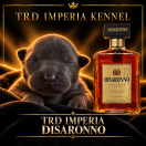 TRD IMPERIA DISARONNO