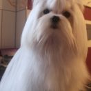 Melani love Melody Princess 