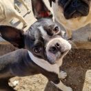 Rainbow Shine Charlotte