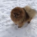 Princess Sun and Stars