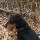 GRAND z Łobuzerskiej Ferajny