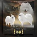 HERCULES White Blizzard of Night