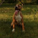 HISTORY OF LOVE VIA FORTUNA