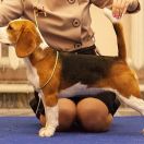 Katania Kalcia La Casa Demiani