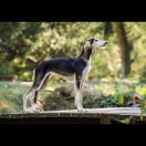 HISPANITA HERMOSA z Tripu 