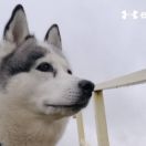 Takuna BEAUTIFUL BLACK LADY 