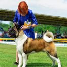 All For Almighty Before Heaven