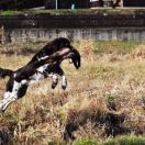 Chyra z Budisovske doliny