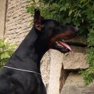 Sapphire s Gostinogo Dvora 