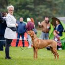 Planet Melmac MAD ABOUT YOU