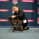 CANIS NOBILITAS CAVALLI