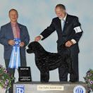 Marinella`s FOLLOW THAT DREAM