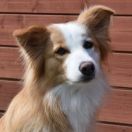 CROSS THE SKY Valjeta