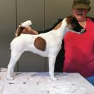 Casablanka Enjoy Myconebee 