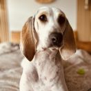 FLUSHTIMES UDINE LA CHERIE 