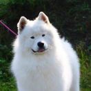 BORN TO WIN IZ MOSKOVSKAY METALY 