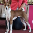 All Square Allure of Intrigue