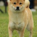 AMI z Grodzkiego Zakątka