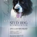 ANDY VOM KREUZFELSEN 