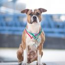 APARATKA My Passion Staff