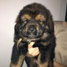  Aragonit Sand of Tybet 