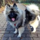 Arika z Chaty Horpyny