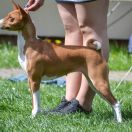 TAJEMNICA Ballada o Wędrowaniu