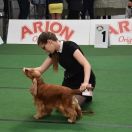 Stella Vespertina Ariana