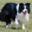 BRING ME HAPPINESS Mystique Regni 