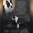 FLY ME TO THE MOON IMPERIAL ERIADOR 