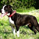 I LOVE YOU Child of Love