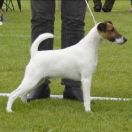 Meselegårdens Ben Ten