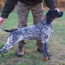 Izyda z Tropu Kamionki