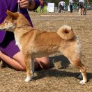 GEISYUKU SAKAMOTO Subarashii