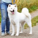 Jamie Lynn Go Sakura No Sono