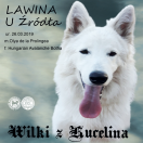  LAWINA U Źródła ( KESI )