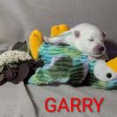 Garry Shaggy Fluff FCI